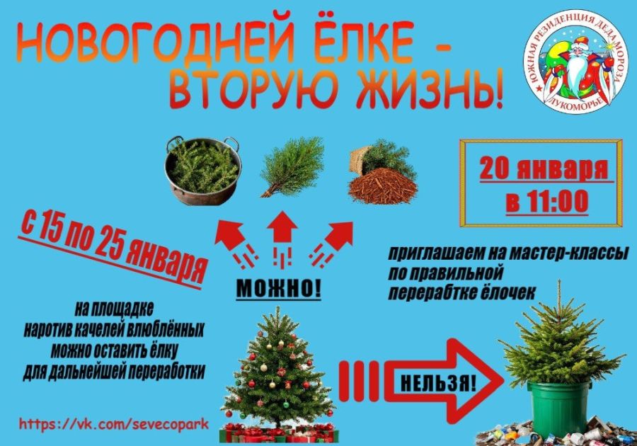 Сдать новогоднюю елку на переработку можно в экопарк «Лукоморье» 