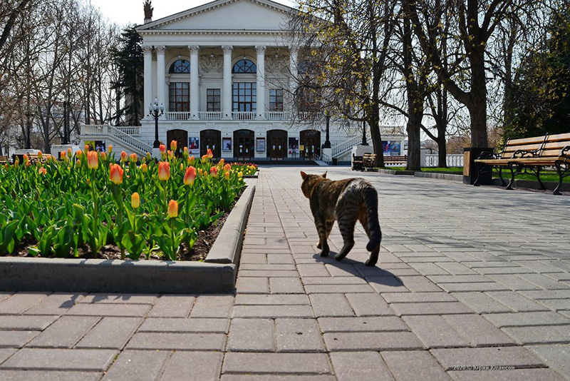 В Севастополе сегодня малооблачно и до +25°С (прогноз погоды на 10 апреля)