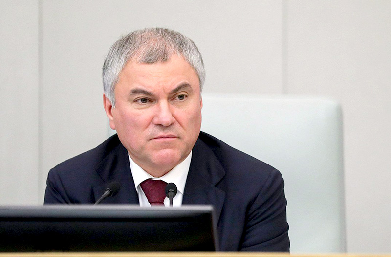 Володин рассказал о результатах принятых законов по борьбе с мошенничеством
