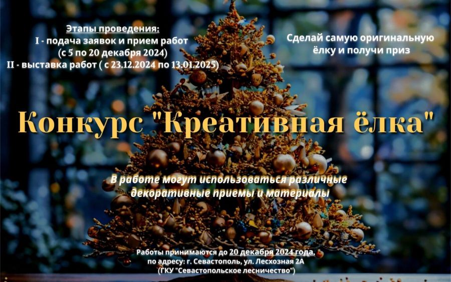 Севастопольское лесничество объявило конкурс на самую креативную ёлку