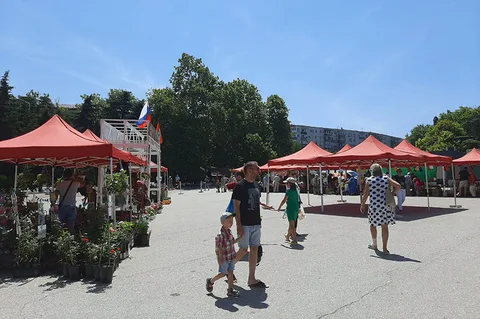 Фото галереи