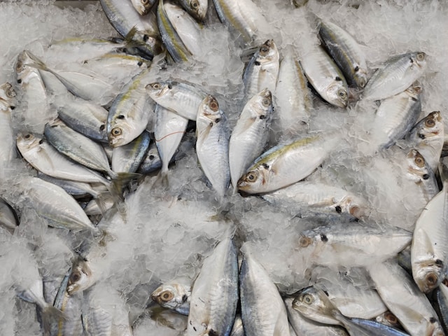 В Севастополе выросло производство мороженой рыбы, мясных полуфабрикатов, тортов и пирожных