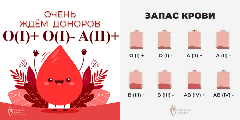 В севастопольском Центре крови очень ждут доноров: запасы крови минимальны