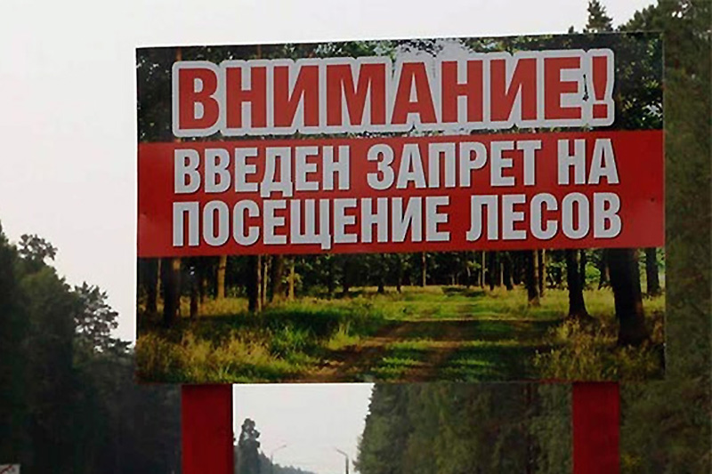 Минприроды Крыма на 21 день запретило посещение лесов